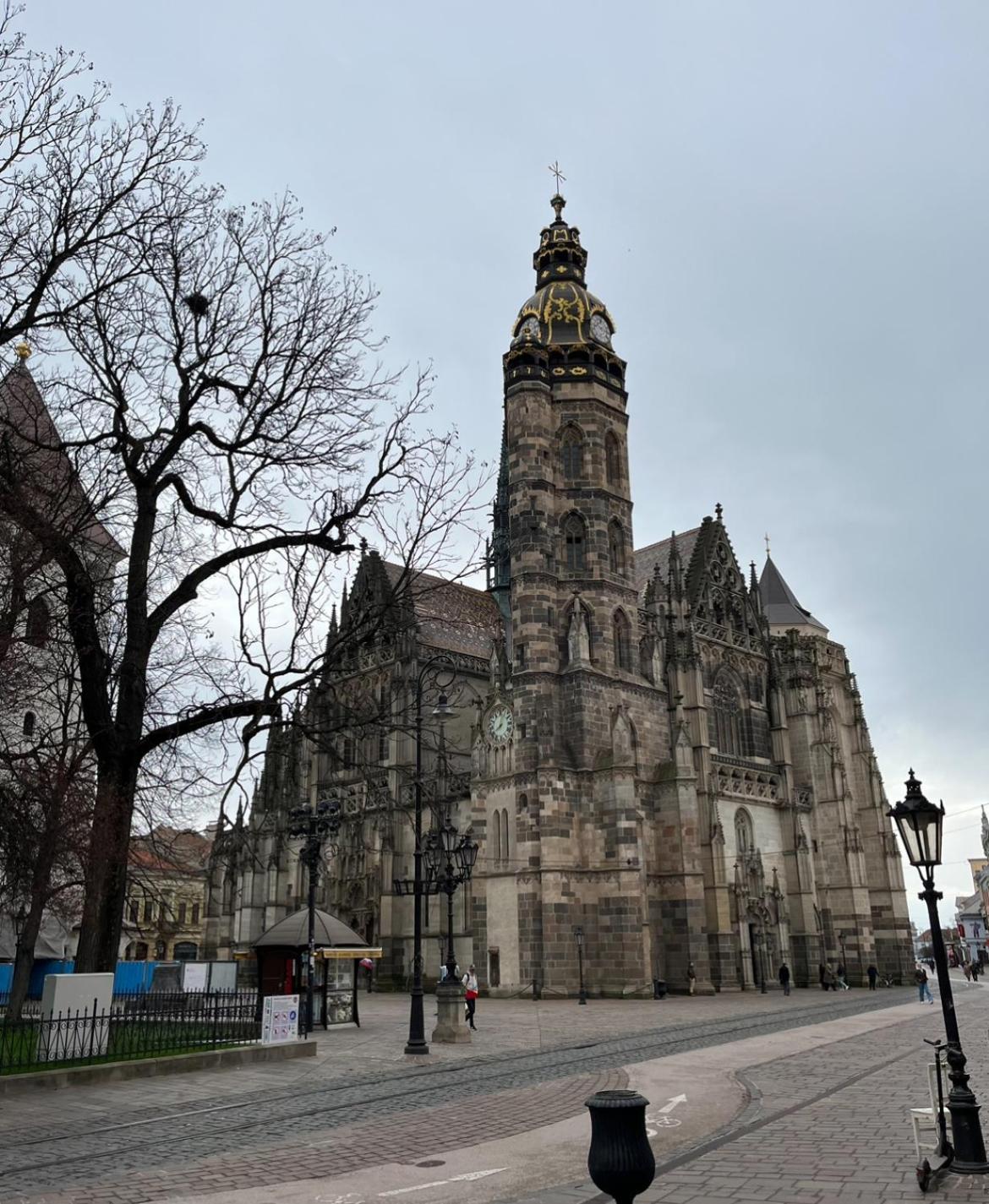 Old Town Single Room El Moly Kosice Bagian luar foto